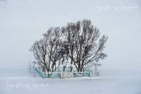 2052021_ISL_Baum_JMW