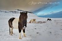 1458108_Island_Winter_JMW